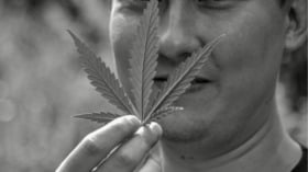 Here's the Legal Marijuana Stock You've Been Waiting For