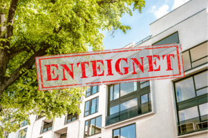 Grüner Fisher Investments