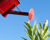 International Living 