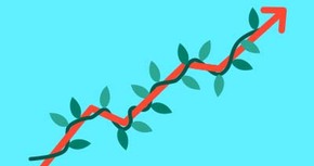 Invesco Management S.A.