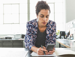 Capital One Spark Business